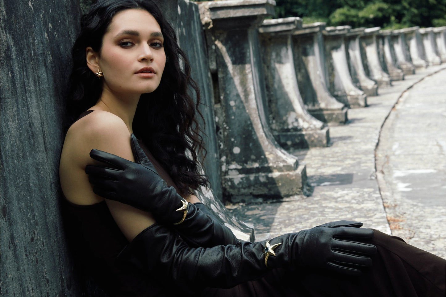 Shooting Star Collection