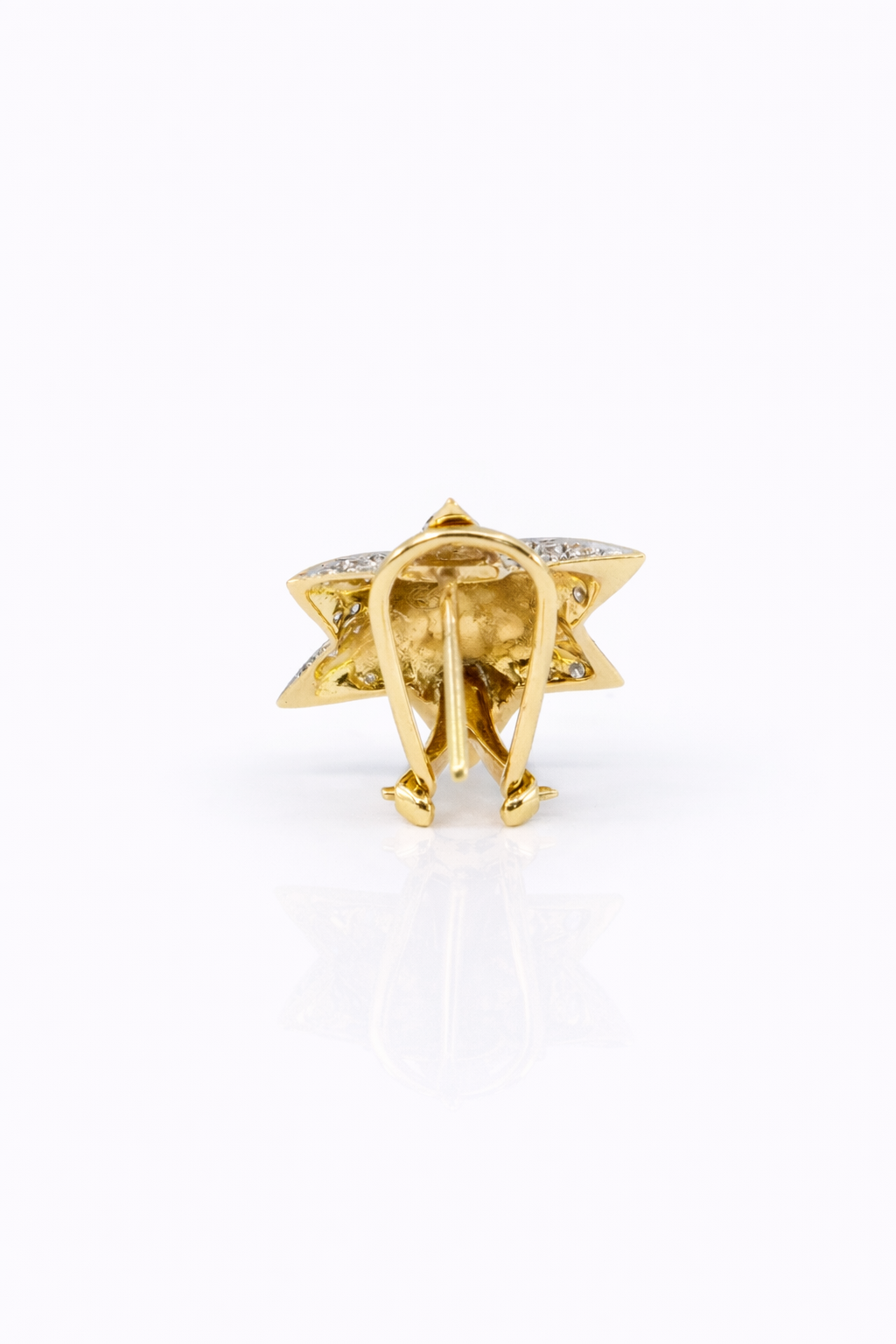 
                  
                    Shooting Star Diamond Earrings YG/WG
                  
                